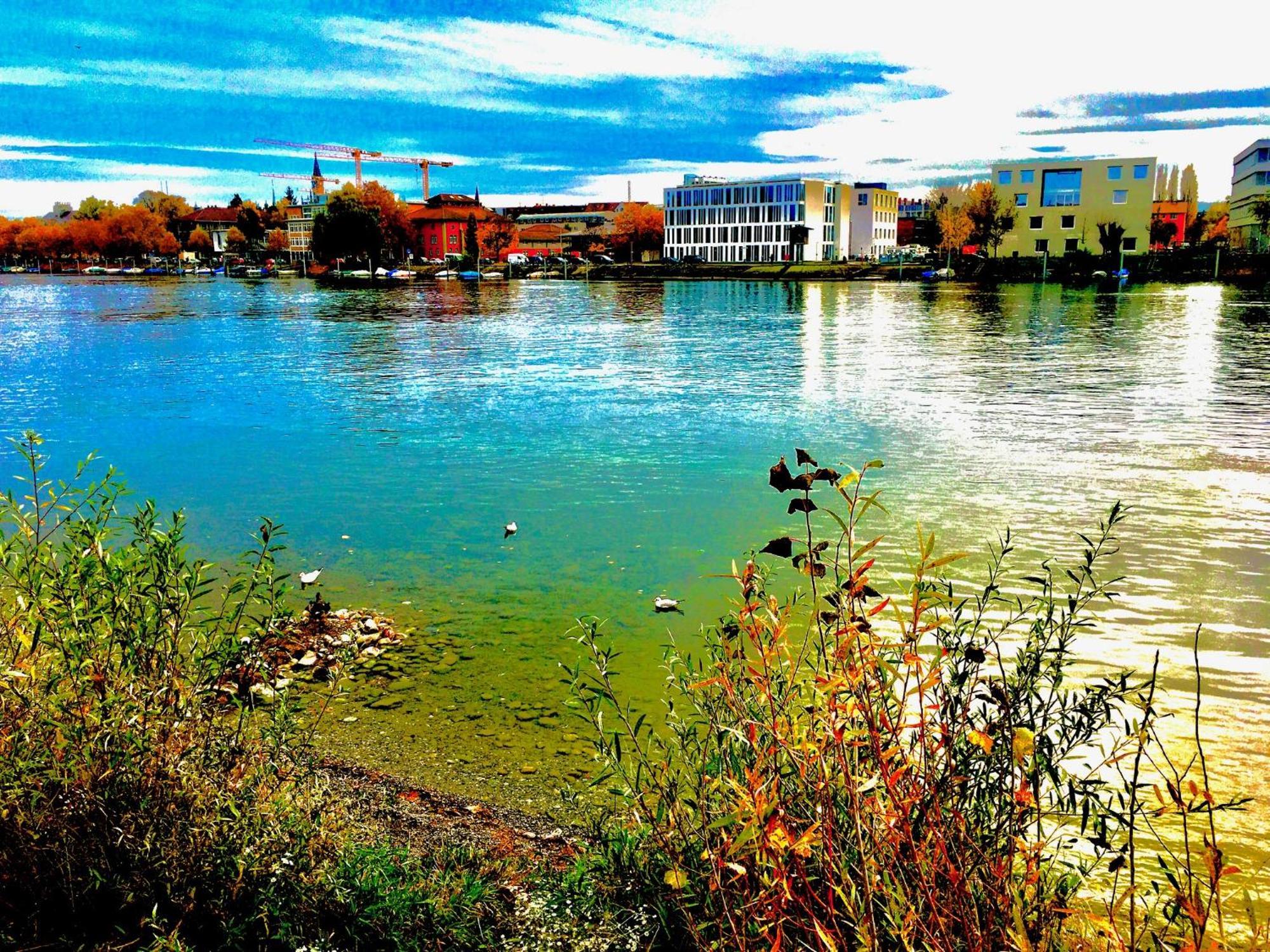 Rhein Romantik Riverview
